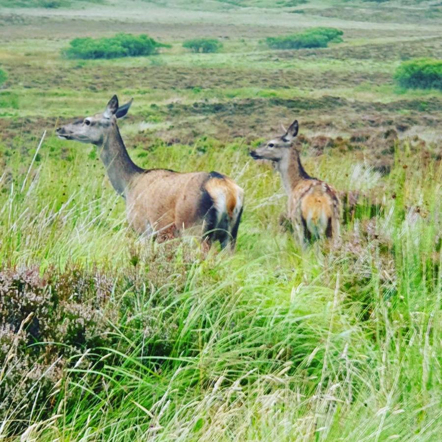 הוילה Kinloch Deer Green Place מראה חיצוני תמונה